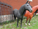 Life Size Black Stallion