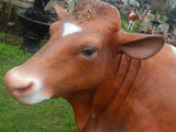 Guernsey Cow Life Size