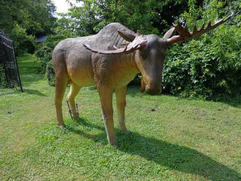 Statue - Life Size Big Moose