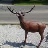 Statue - Life Size Standing Red Stag Reindeer