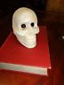 Skull Paperweight Figurine - Skeleton Head Halloween