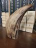Scrimshaw Resin - Replica Whale Tooth "Commodore Perry" 6"