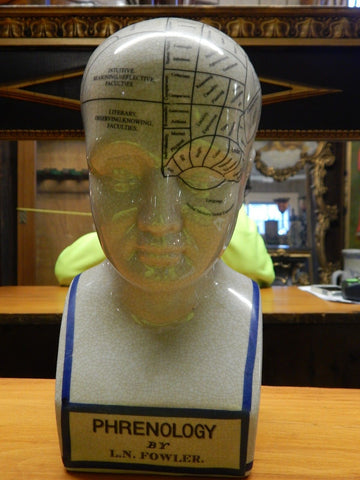 Phrenology 12" Head Bust