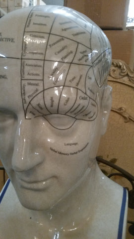 Phrenology 16.5