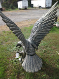 Cast Iron Statue - Eagle