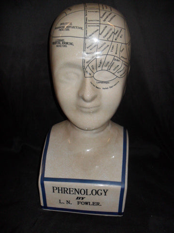 Phrenology 16" Head Bust