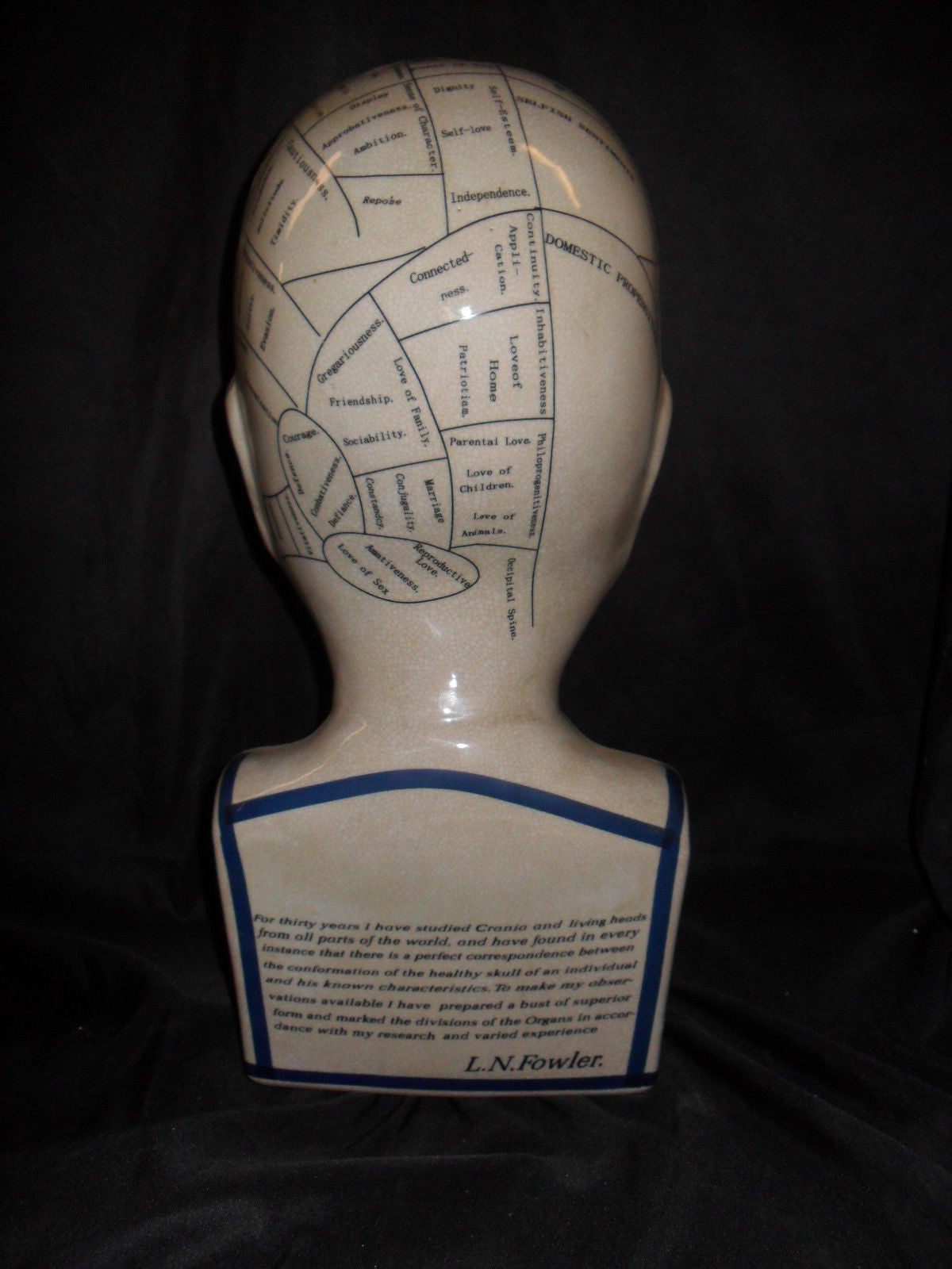 Phrenology 16" Head Bust