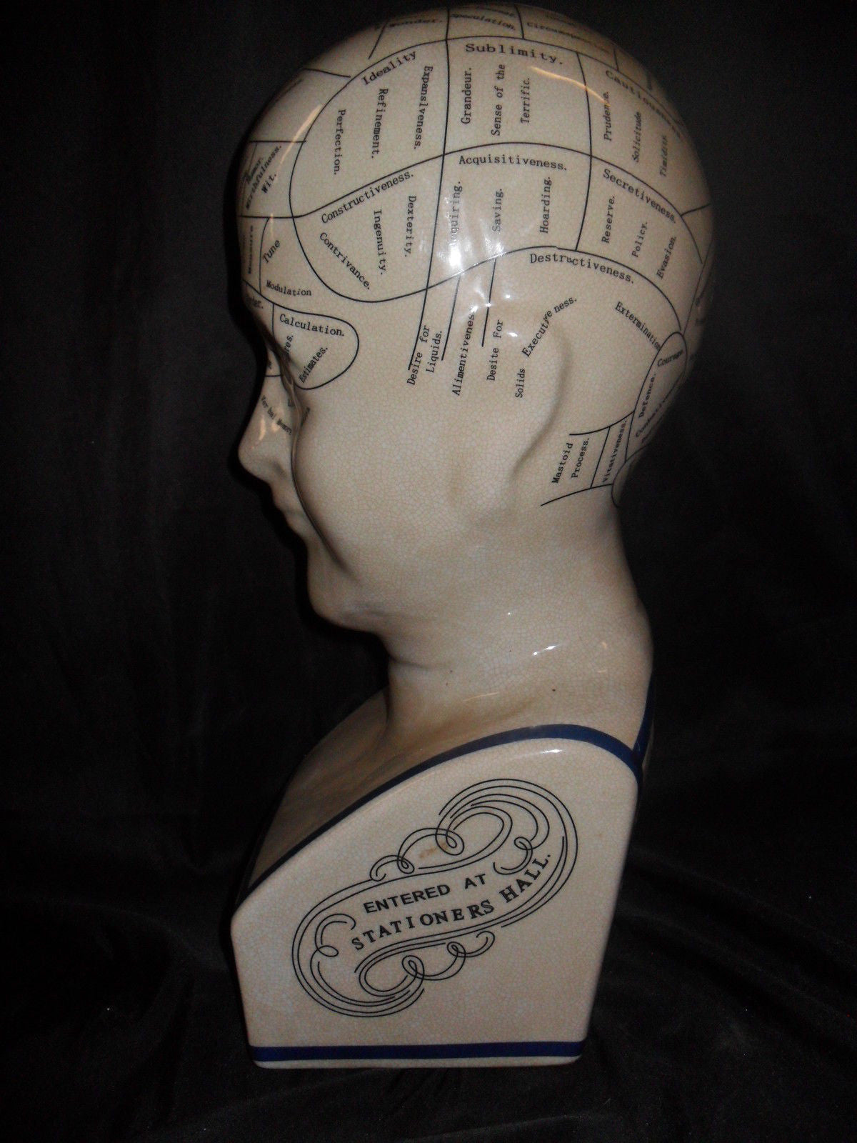 Phrenology 16" Head Bust