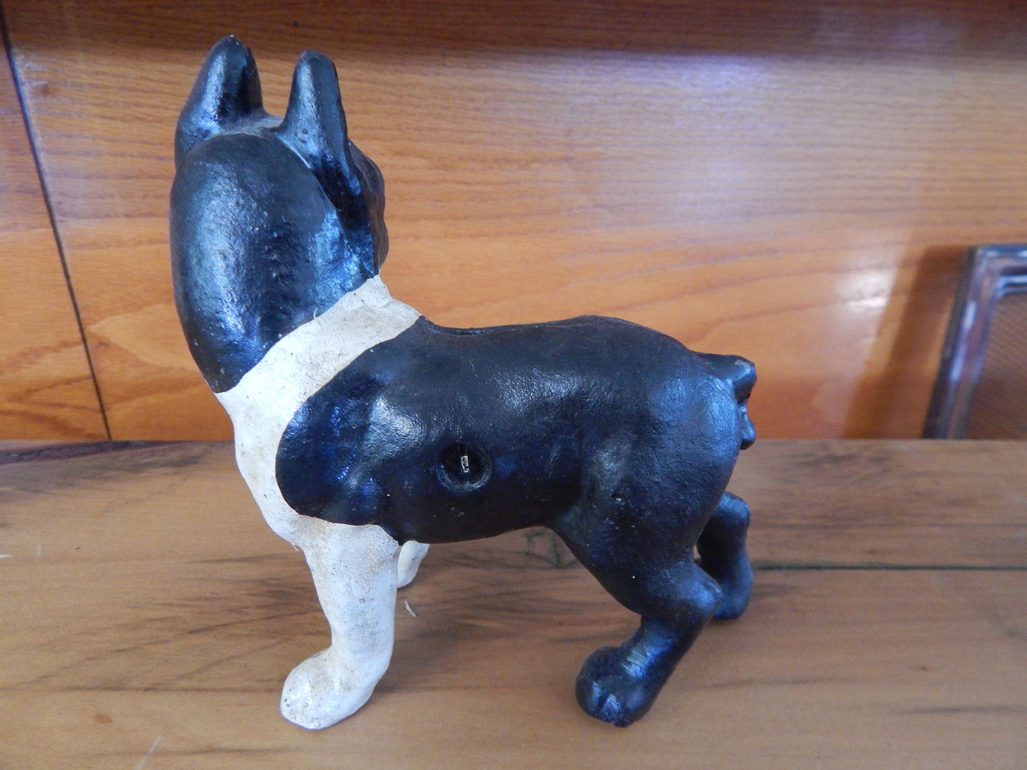 Cast Iron Bank - Small Boston Terrier