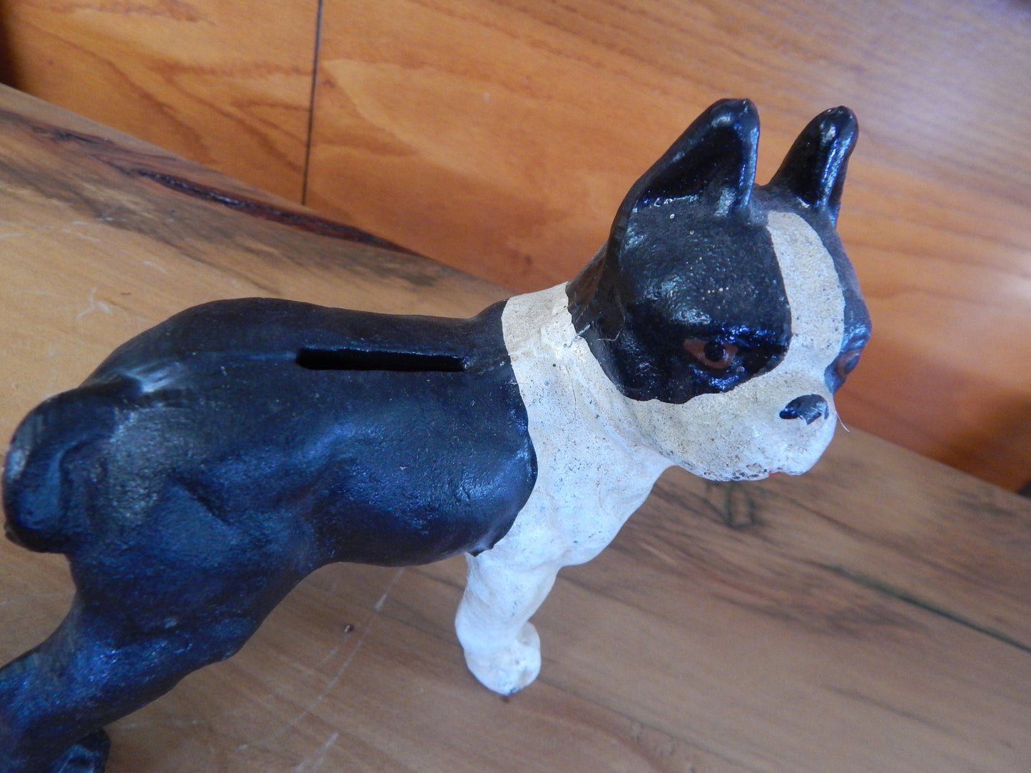 Cast Iron Bank - Small Boston Terrier