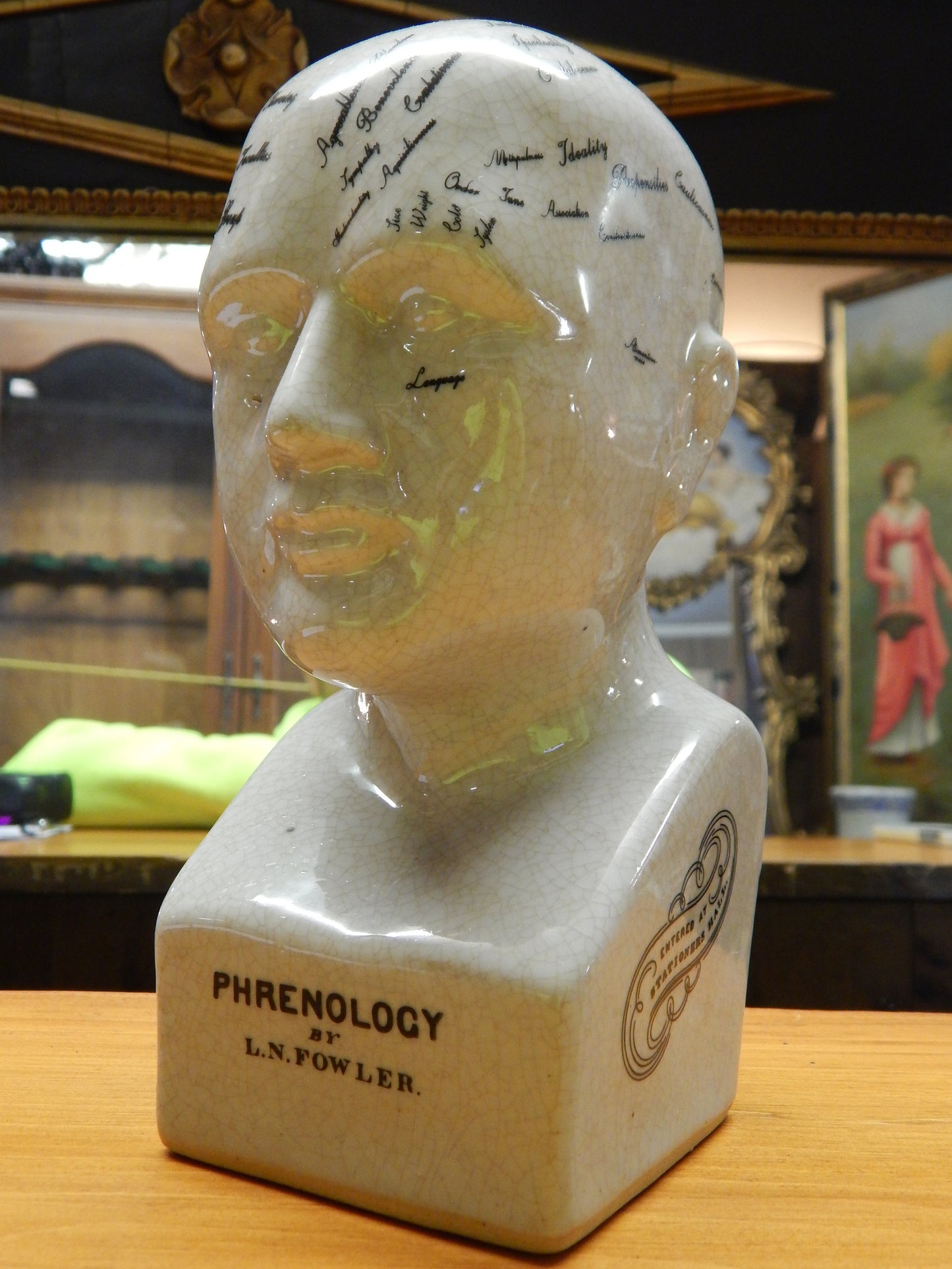 Phrenology 8" Head Bust