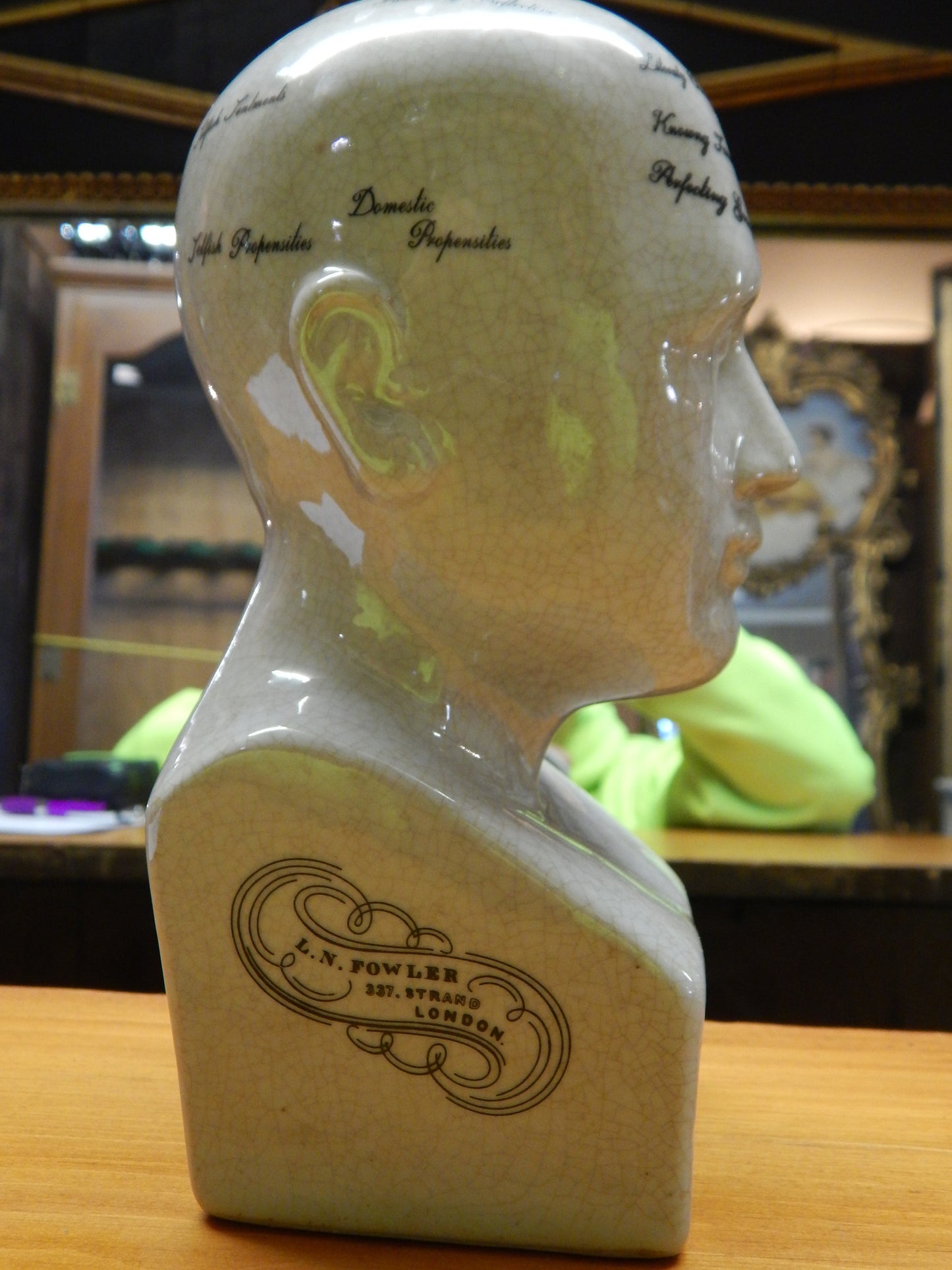 Phrenology 8" Head Bust