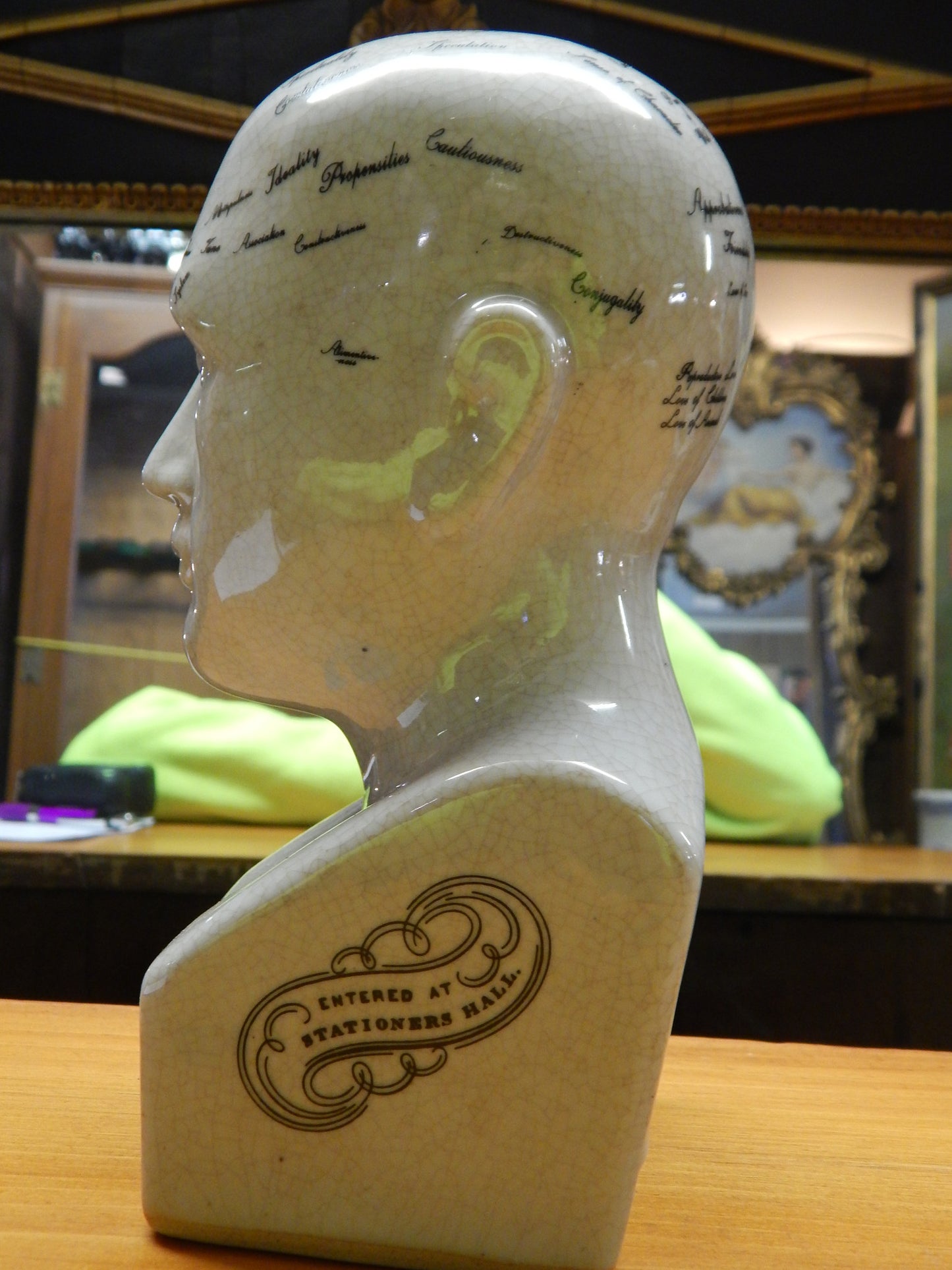 Phrenology 8" Head Bust