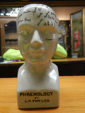 Phrenology 6" Head Bust