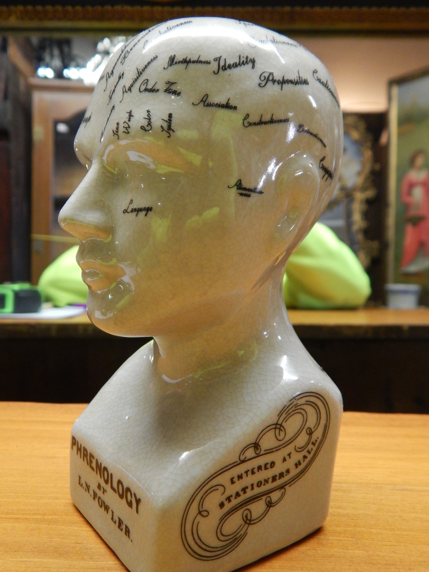 Phrenology 6" Head Bust