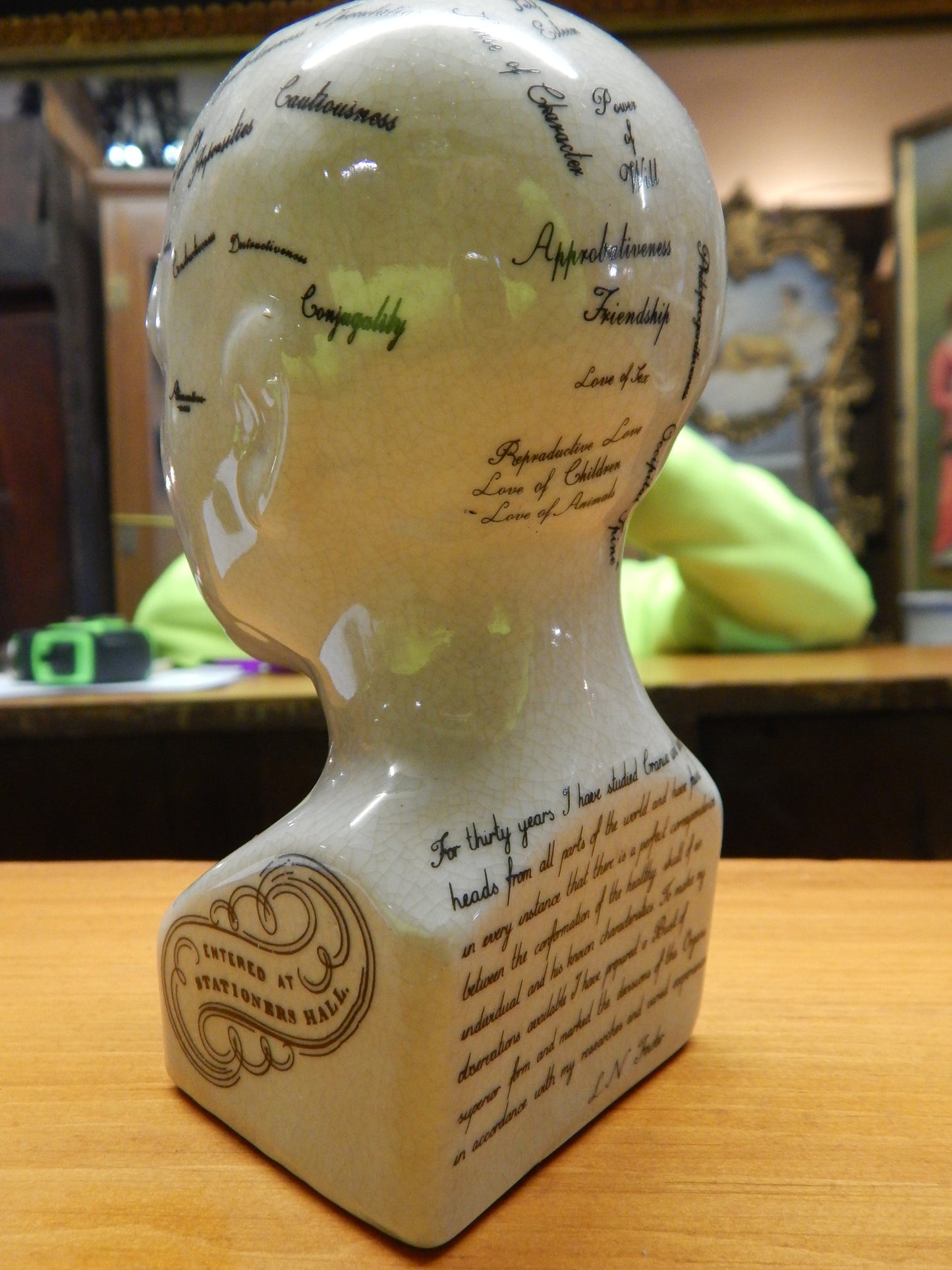 Phrenology 6" Head Bust