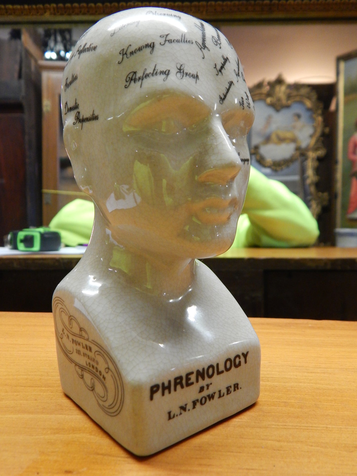 Phrenology 6" Head Bust