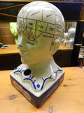 Phrenology  13" Head Burst