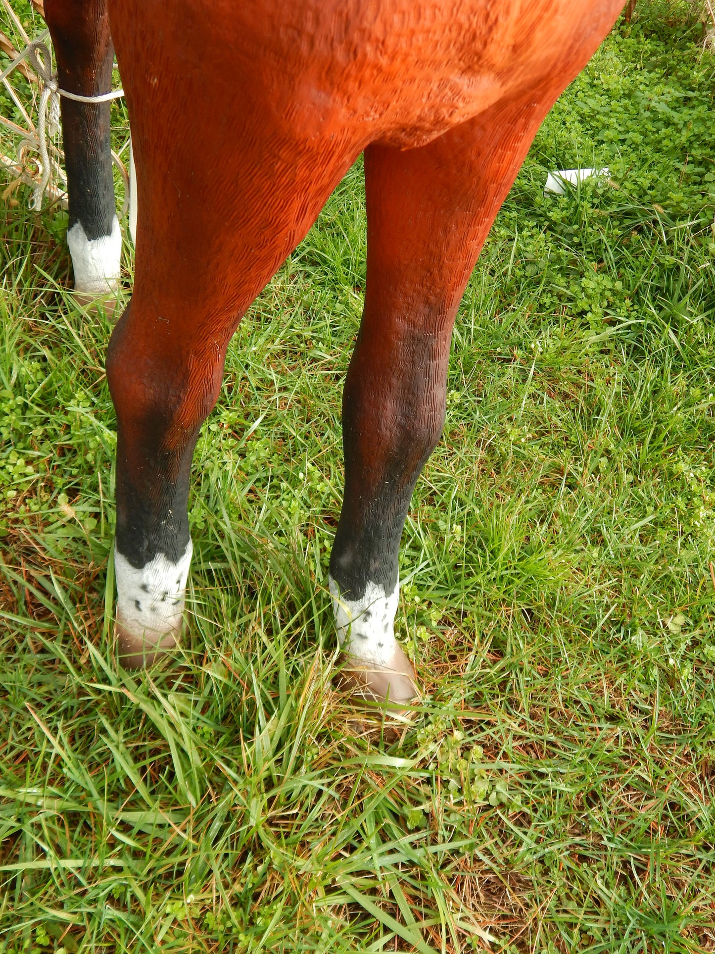 Foal Life Size Display Statue