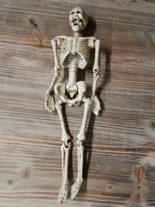 Anatomical Human Skeleton Cast Iron