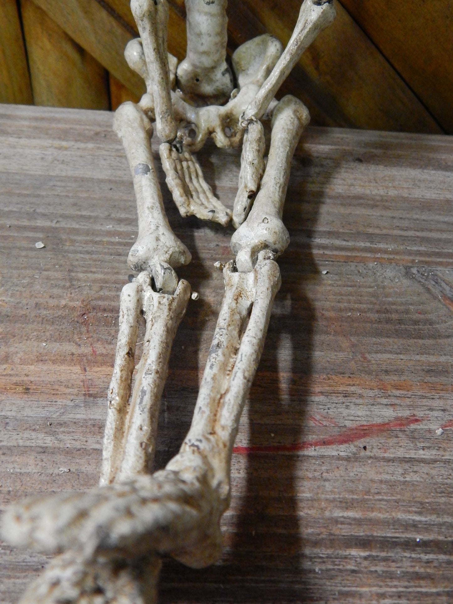 Anatomical Human Skeleton Cast Iron