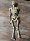 Anatomical Human Skeleton Cast Iron