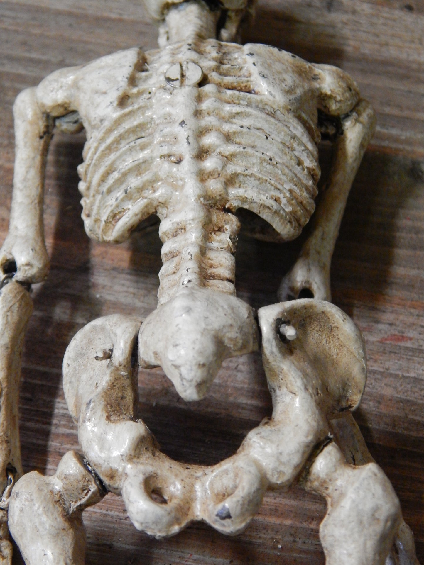 Anatomical Human Skeleton Cast Iron