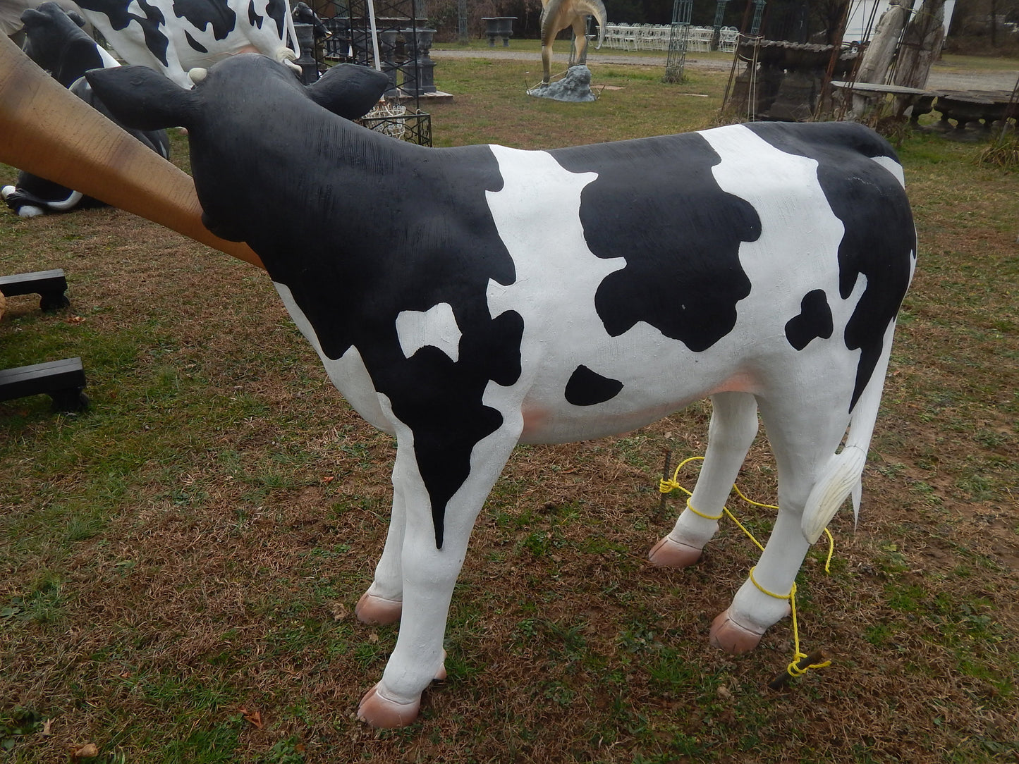 Calf Life Size Medium