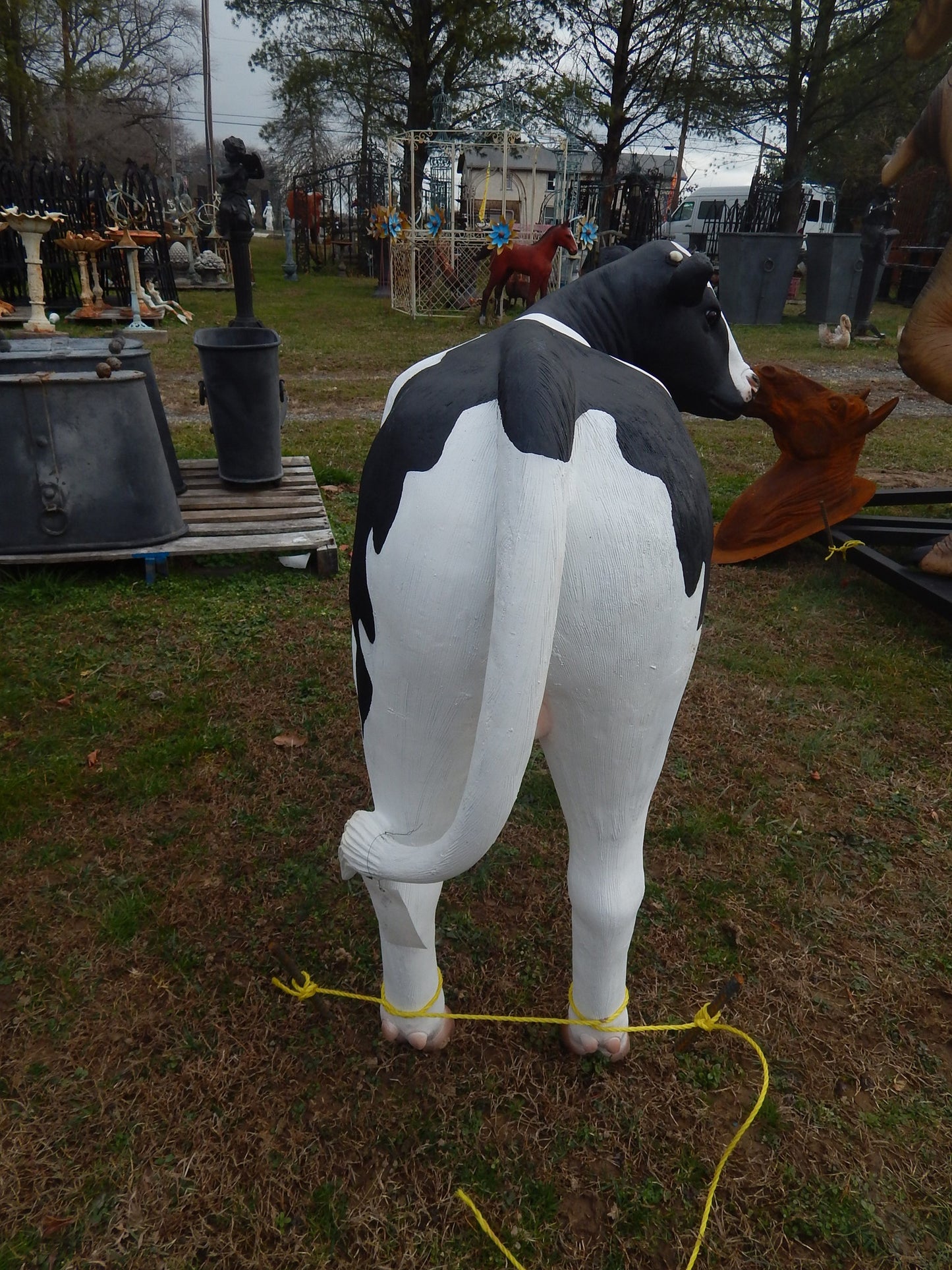 Calf Life Size Medium