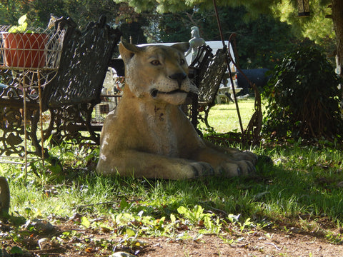 Statue - Life Size Lioness