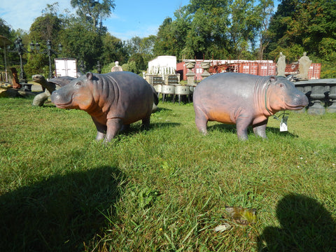 Statue - Life Size Small Hippo