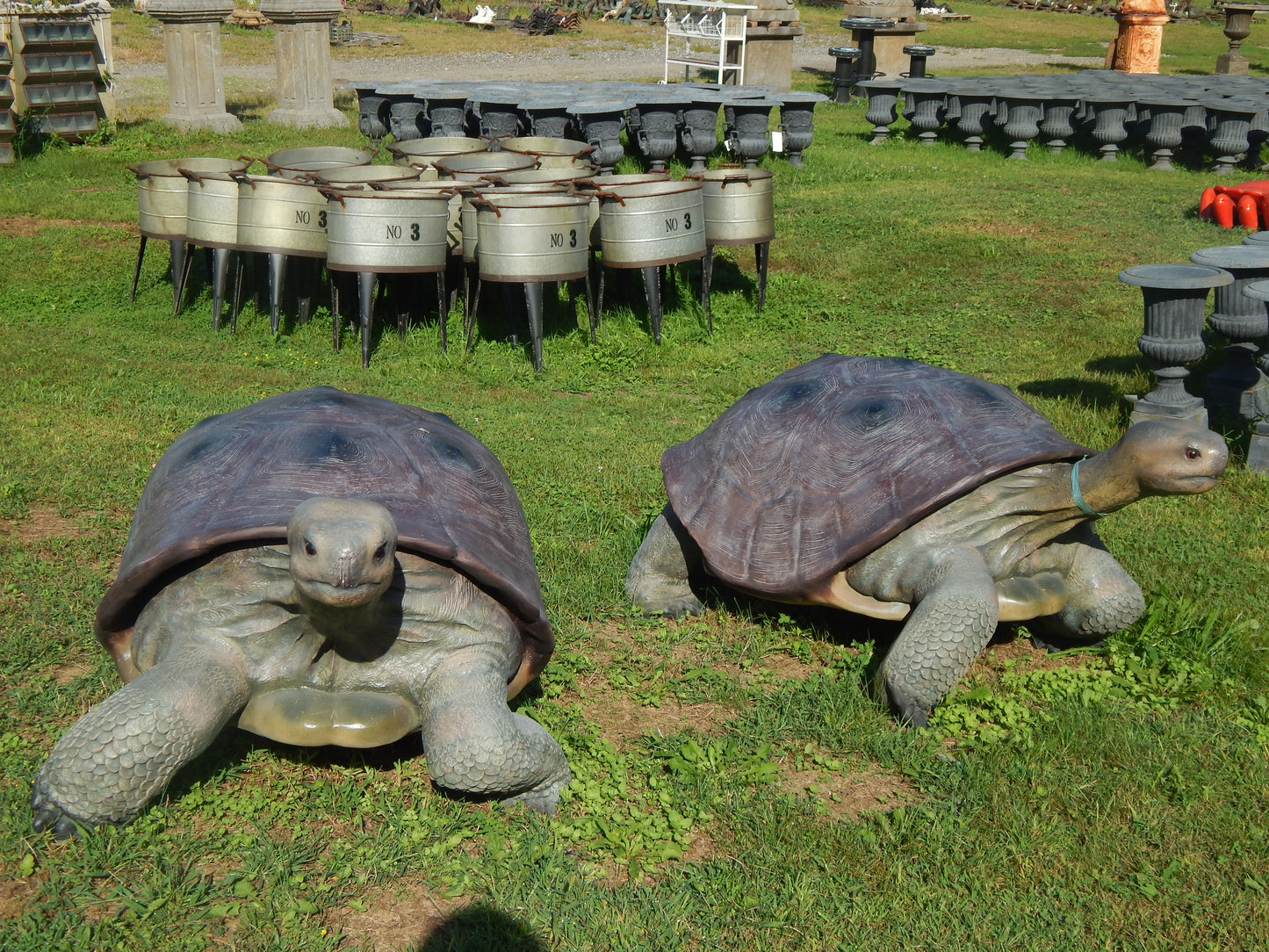 Statue - Life Size Realistic Animal Galapagos Tortoise-Jantiques LLC.