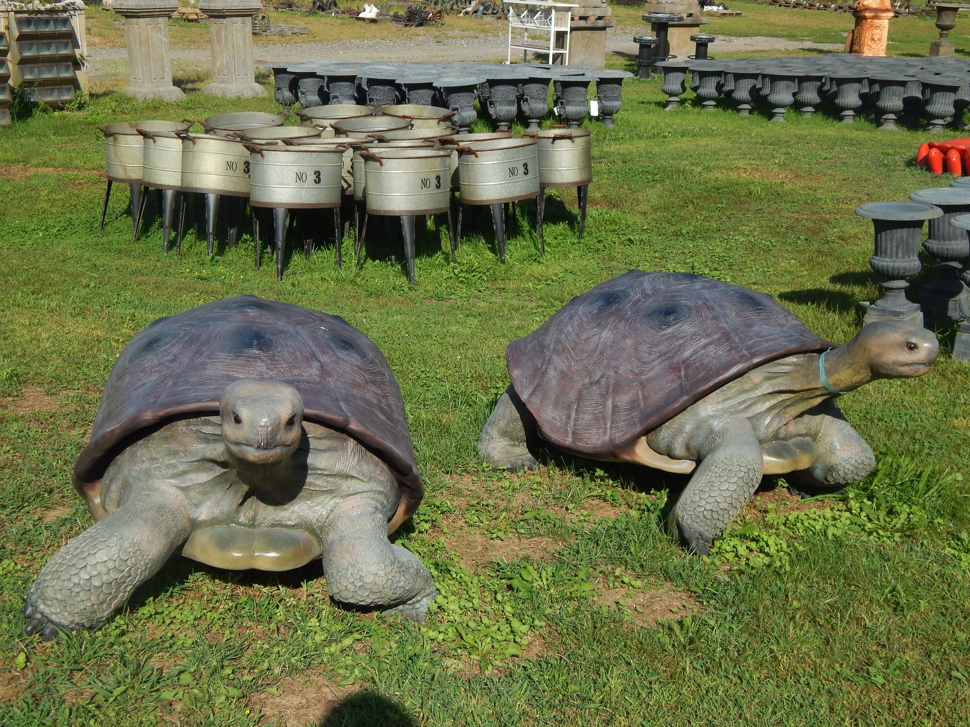 Statue - Life Size Realistic Animal Galapagos Tortoise-Jantiques LLC.