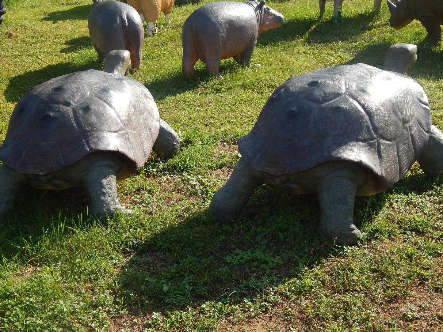 Statue - Life Size Realistic Animal Galapagos Tortoise-Jantiques LLC.