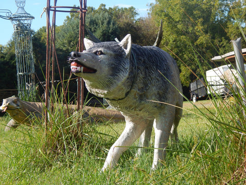 Statue - Life Size Wolves