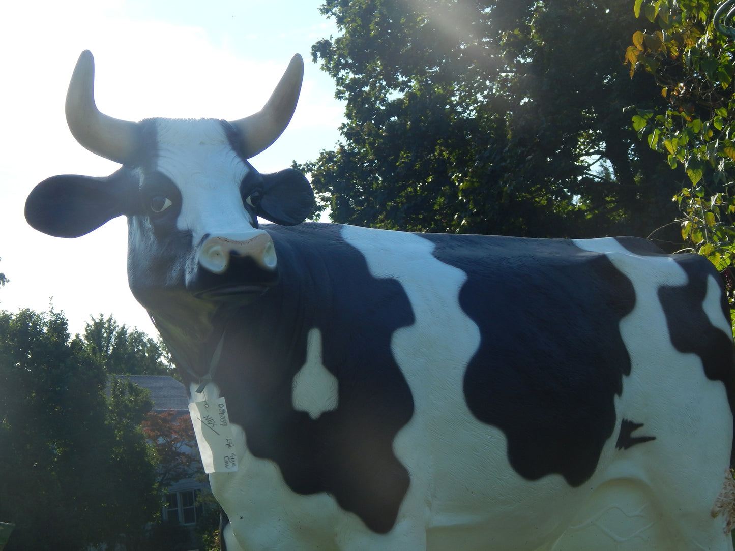 Statue - Life Size Black White Cow