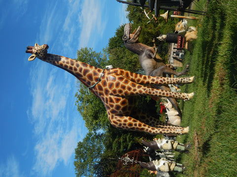 Statue - Life Size 12 feet Tall Giraffe