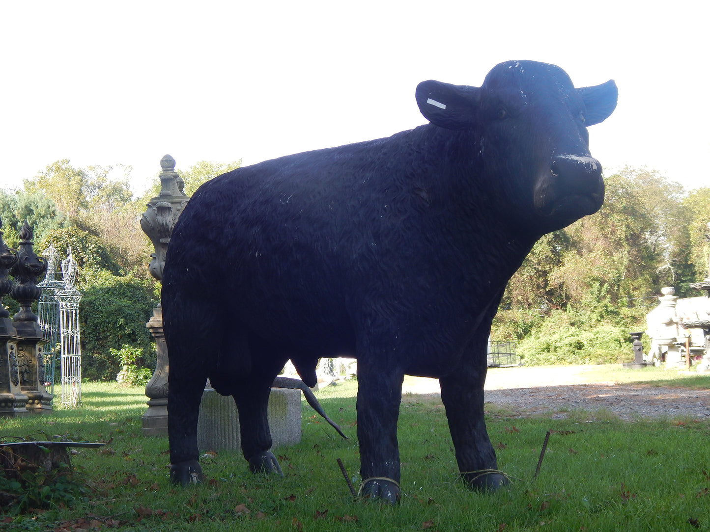 Statue - Life Size Black Angus Cow-Jantiques LLC.