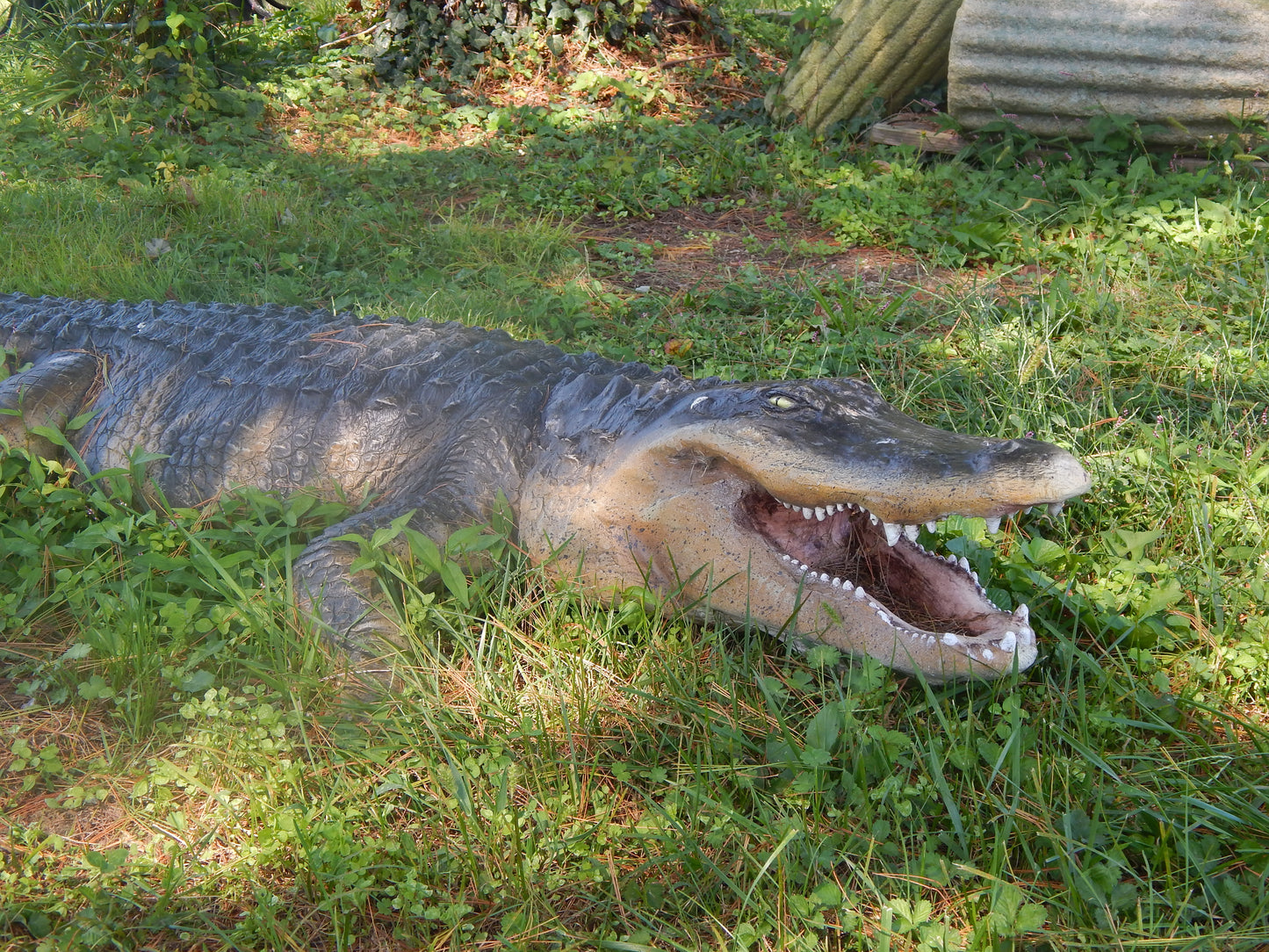 Statue - Life Size 8 Ft American  Realistic Alligator