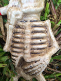 Bottle Opener - Cast Iron Smoking Skeleton