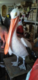 Statue - Life Size Pelican